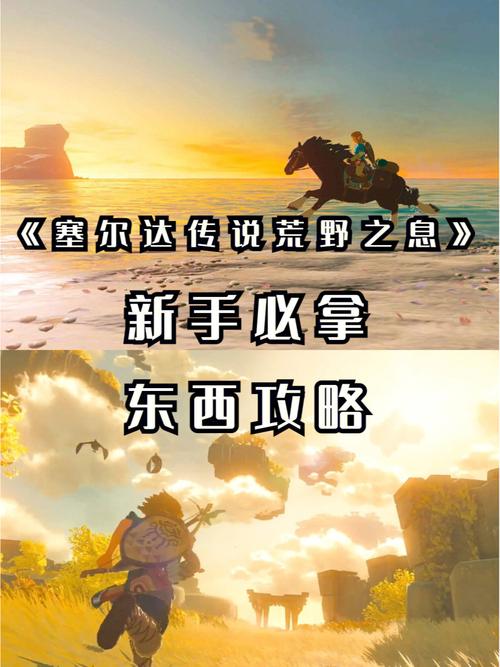 “塞尔达攻略顺序”了解游戏快人一步