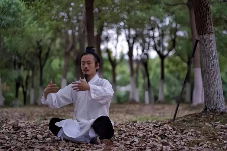 关于“道士技能介绍”你可能想知道