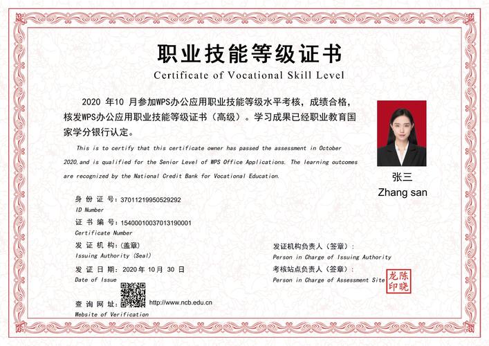 职业技能等级,职业技能等级证书查询系统 职业技能等级,职业技能等级证书查询系统
