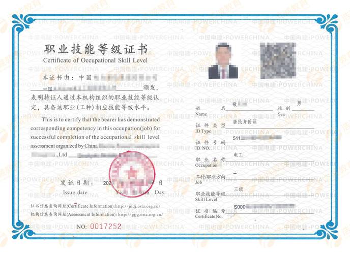 职业技能等级,职业技能等级证书查询系统 职业技能等级,职业技能等级证书查询系统