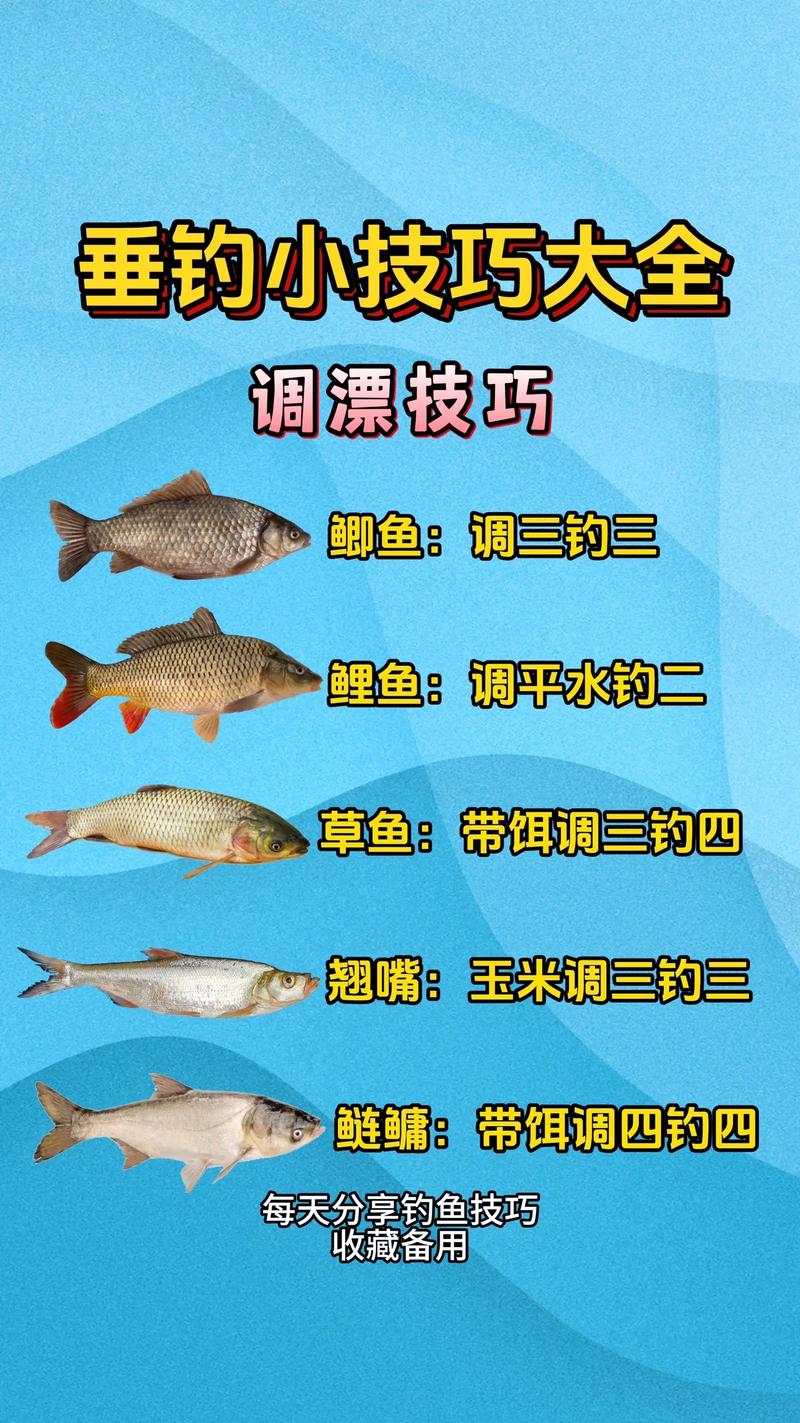 关于“钓鱼技巧全攻略”你可能想知道