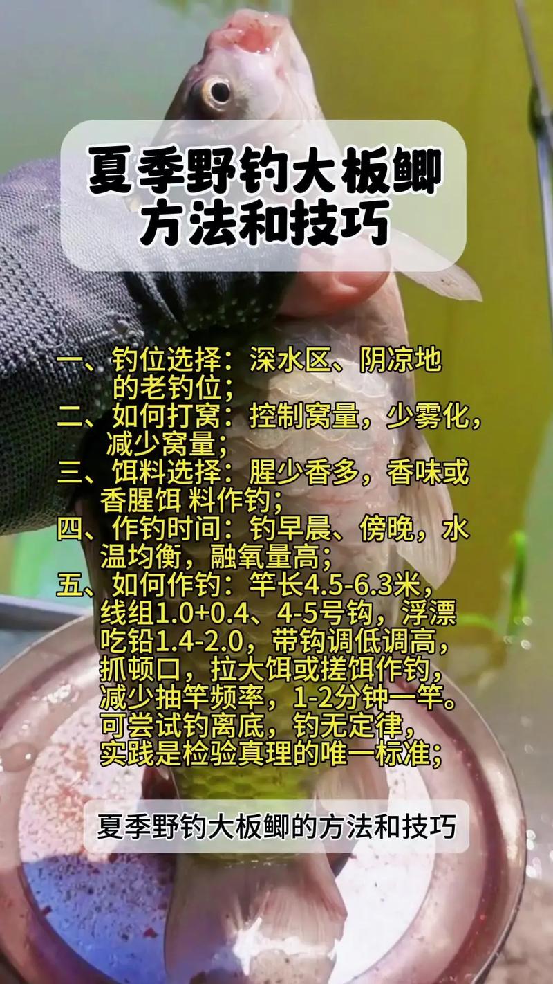 关于“钓鱼技巧全攻略”你可能想知道