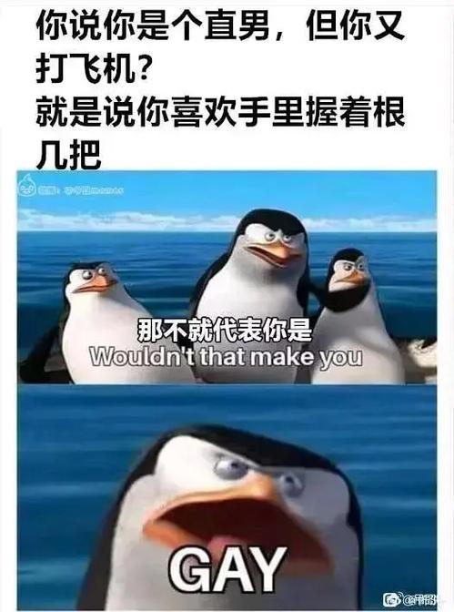关于“乌鸡上衣选什么技能”你可能想知道 关于“乌鸡上衣选什么技能”你可能想知道