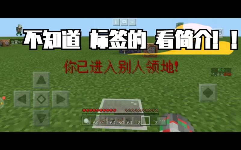 我的的世界领地教程,我的世界领地怎么设置传送地点 我的的世界领地教程,我的世界领地怎么设置传送地点