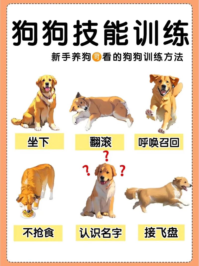 “学技能学什么好”了解游戏快人一步 “学技能学什么好”了解游戏快人一步