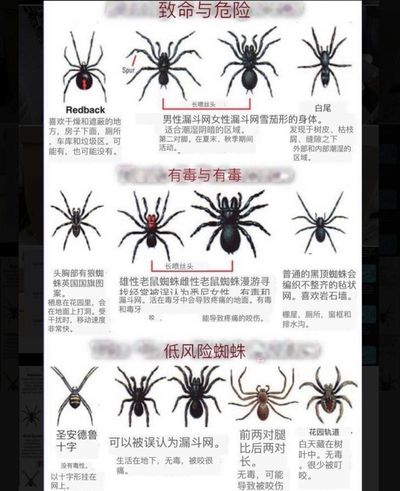 蜘蛛侠技能/蜘蛛侠技能介绍