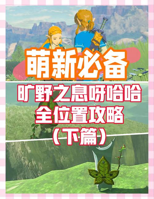 关于“塞尔达dlc攻略”你可能想知道