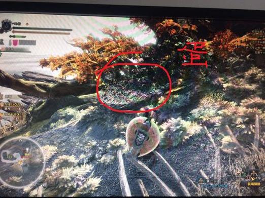 关于“怪物猎人物语攻略”你可能想知道 关于“怪物猎人物语攻略”你可能想知道