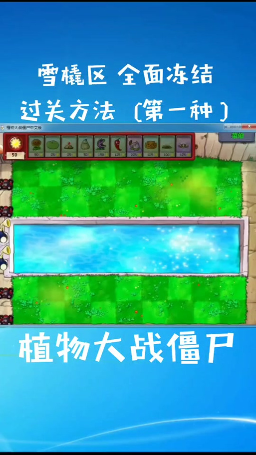 植物大战僵尸全面冻结攻略/植物大战僵尸全面冻结如何过关
