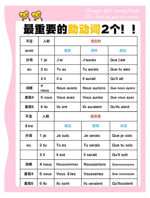 技能组什么词-技能组什么词多音字