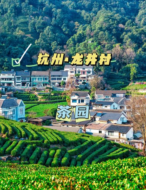 龙井村旅游攻略/龙井村游玩攻略