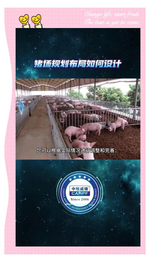 养猪场游戏攻略/养猪场游戏攻略视频 养猪场游戏攻略/养猪场游戏攻略视频