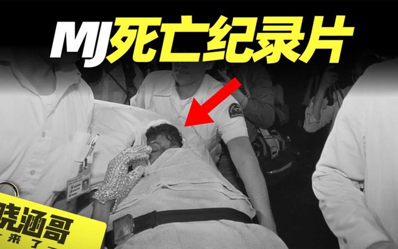 大空庄园攻略-大空庄园契合度图鉴 大空庄园攻略-大空庄园契合度图鉴