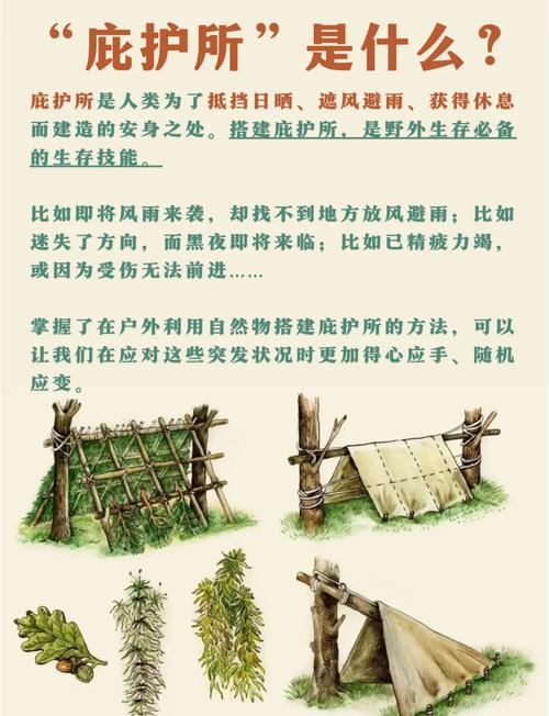 “庇护所攻略”了解游戏快人一步