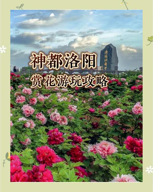 洛阳全攻略-玩转洛阳攻略,拿走不谢 洛阳全攻略-玩转洛阳攻略,拿走不谢