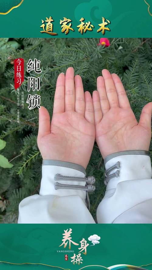 阴阳师苹果设置手势教程-阴阳师苹果手机自动触屏设置 阴阳师苹果设置手势教程-阴阳师苹果手机自动触屏设置