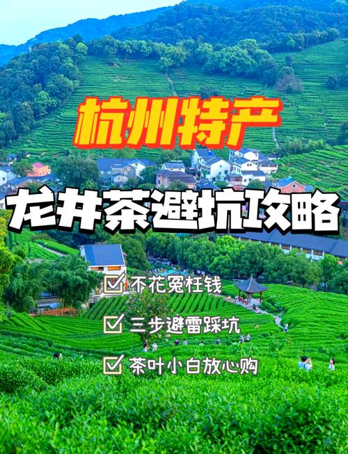 杭州买龙井茶攻略-杭州买龙井茶攻略费用