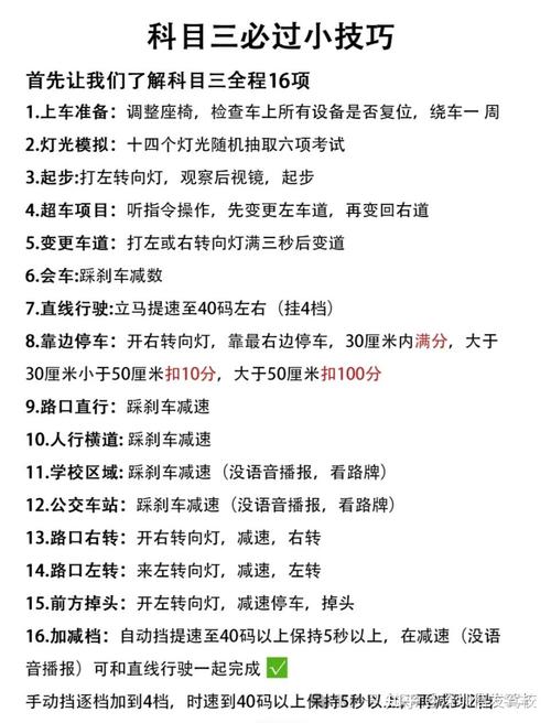 道路驾驶技能考试/道路驾驶技能考试费用必须交吗 道路驾驶技能考试/道路驾驶技能考试费用必须交吗