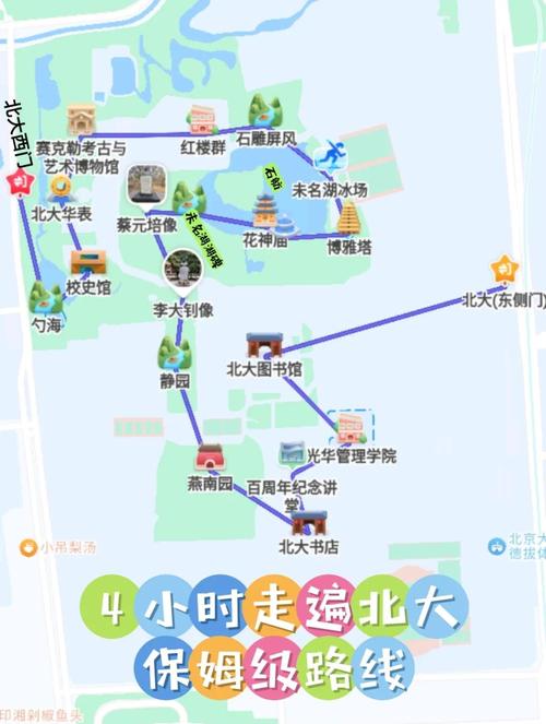 状元养成攻略-状元养成攻略完整版 状元养成攻略-状元养成攻略完整版