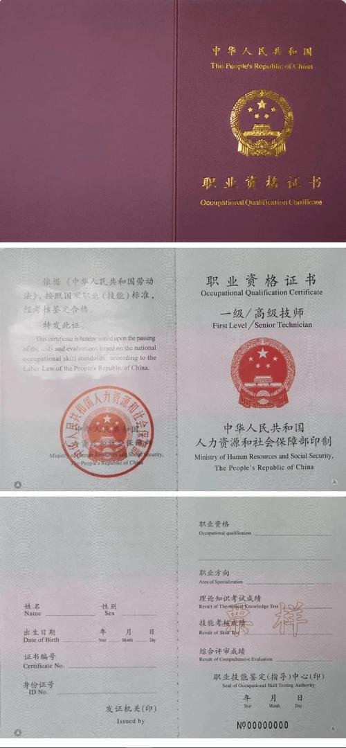 “职业技能证书有哪些”了解游戏快人一步