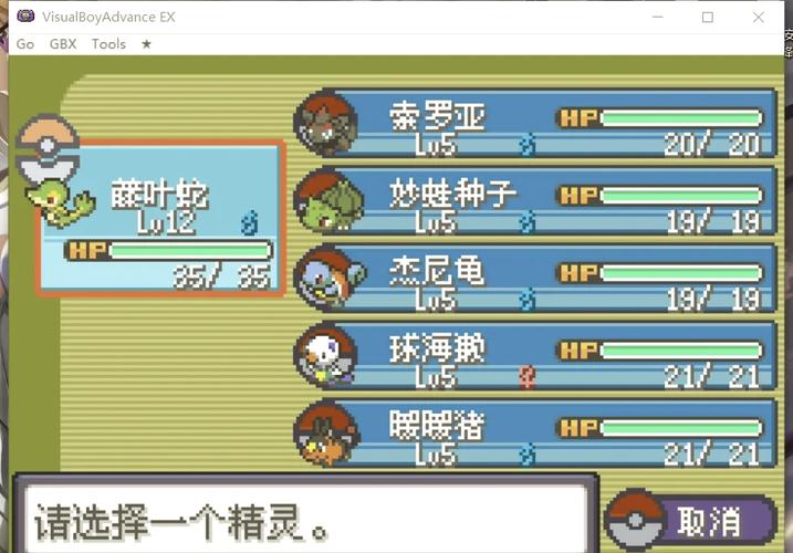 伊布的技能,月亮伊布的技能 伊布的技能,月亮伊布的技能